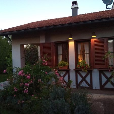 Nikolija 1 Apartment Баина Баща Екстериор снимка