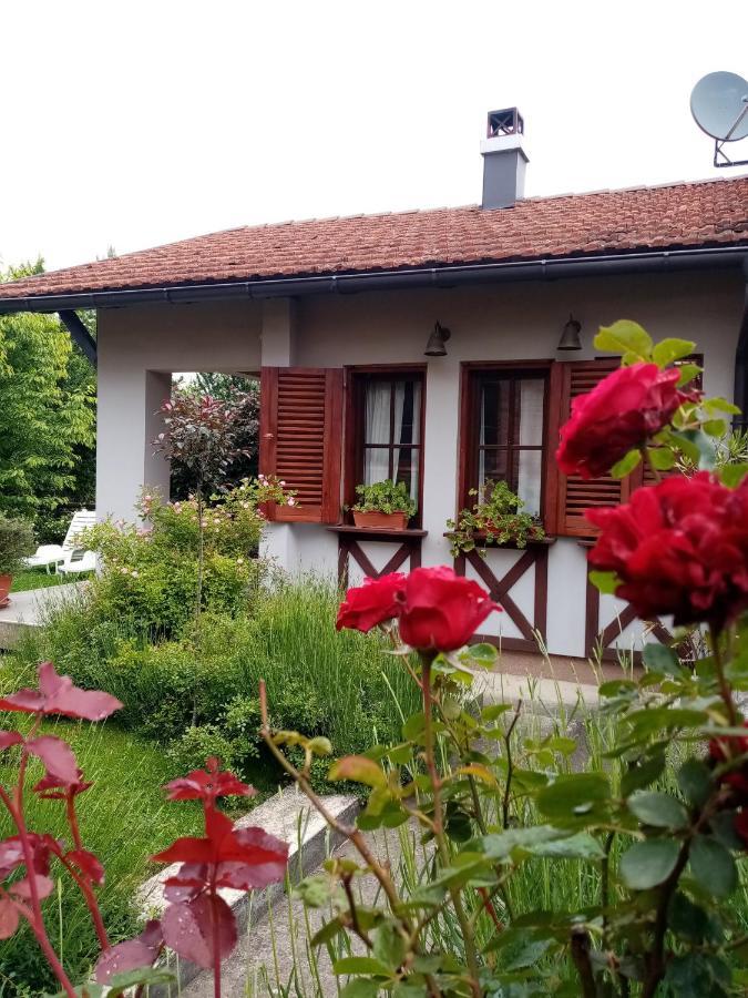 Nikolija 1 Apartment Баина Баща Екстериор снимка