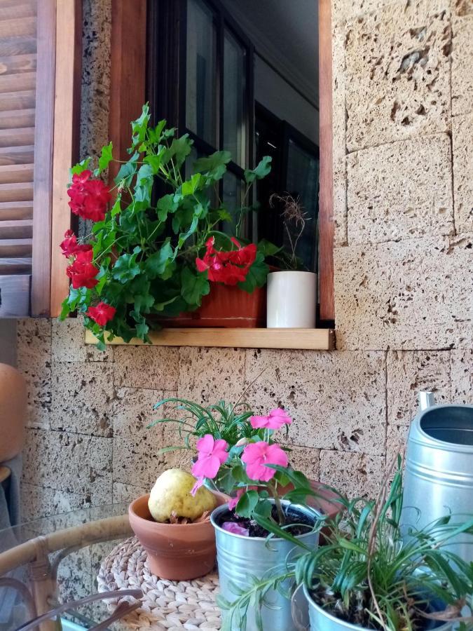 Nikolija 1 Apartment Баина Баща Екстериор снимка